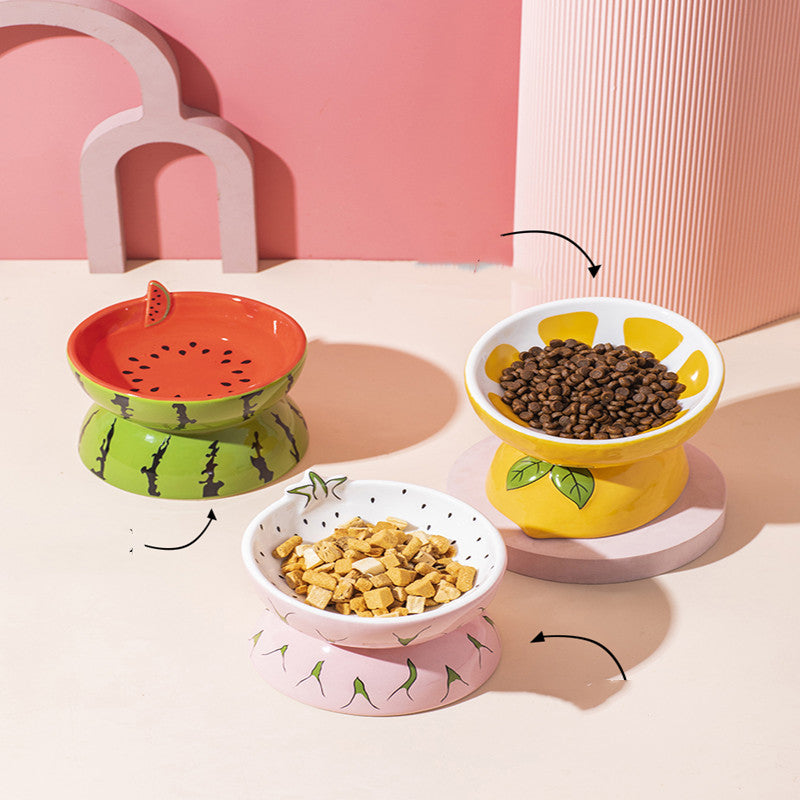 Gatos — Nuvia Pet